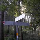 100_9821.JPG