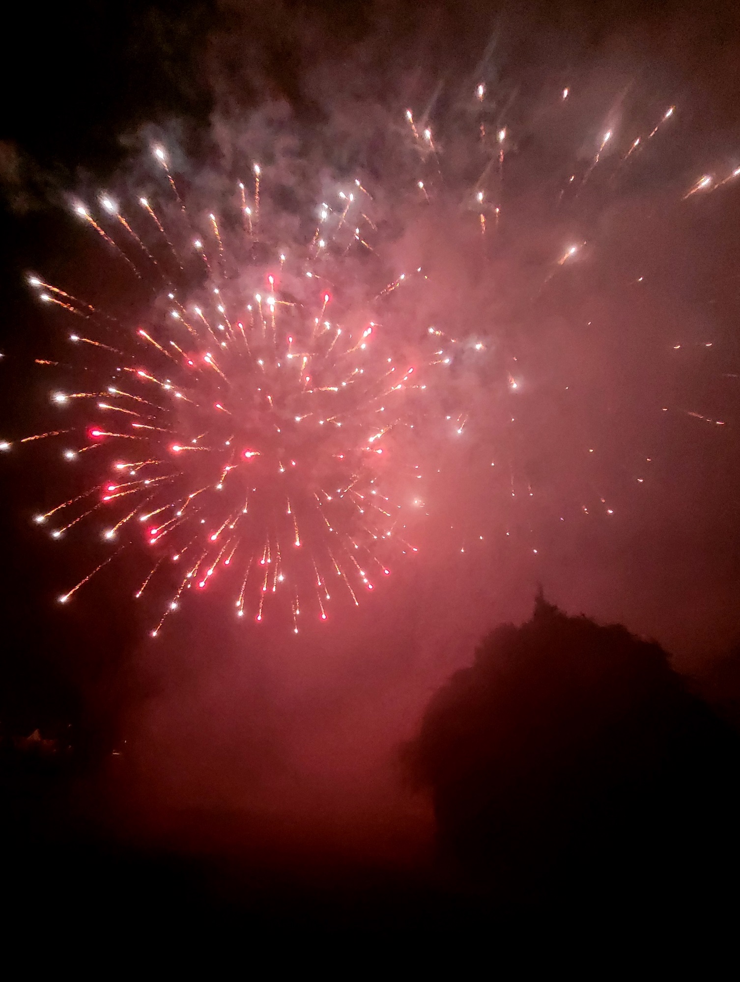 Funken B__UMLE AM SEE B GROSSER FUNKEN 17-02-2024 _2_.jpg