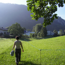 100_9824.JPG