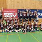 ssv10n.jpg