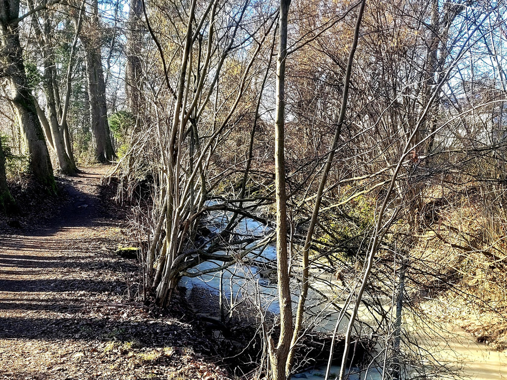Ruggbach HOCHWASSERSCHUTZ BA Klosterweg im Februar 2024 _14_.jpg