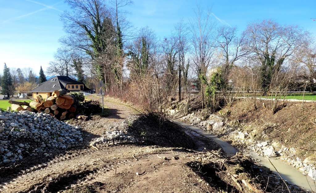 Ruggbach HOCHWASSERSCHUTZ BA Klosterweg im Februar 2024 _19_.jpg