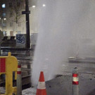 IMG-20240301-WA0001.jpg