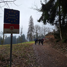 WhatsApp Bild 2024-03-01 um 18_47_25_be47acee.jpg