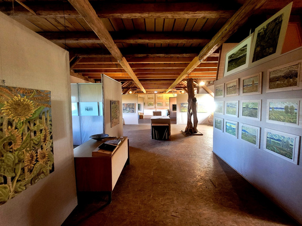 Sturn Hans OPEN STUDIO DAY BLICKwARTE H__rbranz 02-03-2024 _10_.jpg