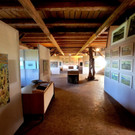 Sturn Hans OPEN STUDIO DAY BLICKwARTE H__rbranz 02-03-2024 _10_.jpg