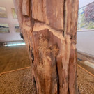 Sturn Hans OPEN STUDIO DAY BLICKwARTE H__rbranz 02-03-2024 _17_.jpg