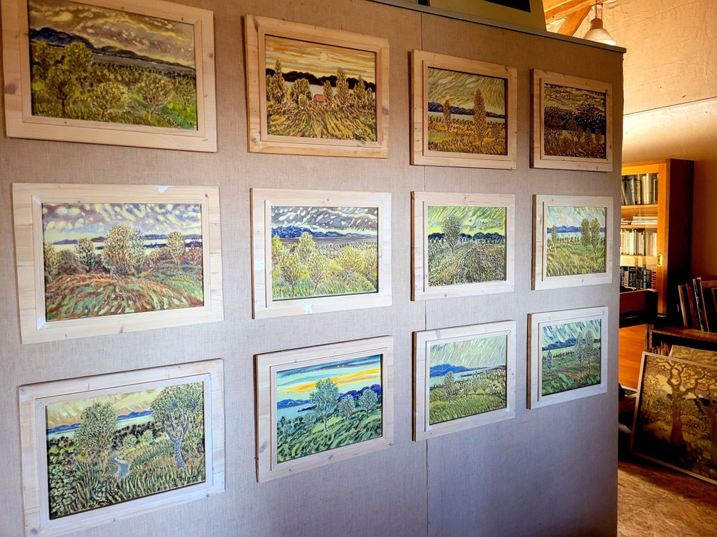 Sturn Hans OPEN STUDIO DAY BLICKwARTE H__rbranz 02-03-2024 _13_.jpg