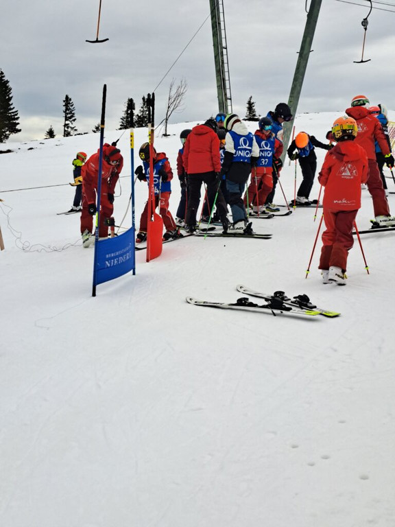 20240303_110553-768x1024.jpg