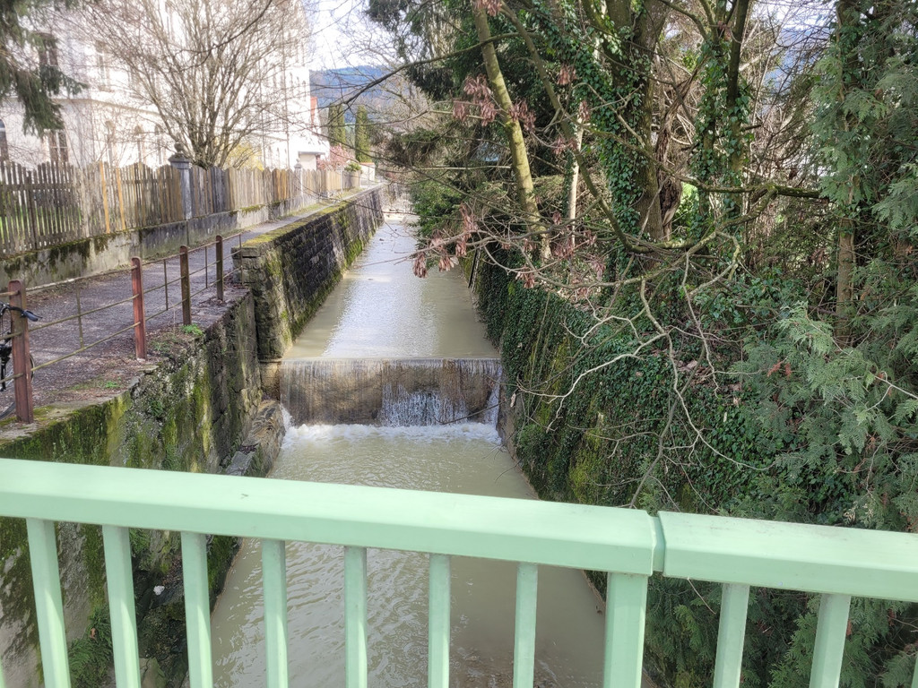 Ruggbach HOCHWASSERSCHUTZ BA Klosterweg Bauma__nahmen nach Rodung 05-03-2024 _11_.jpg