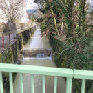 Ruggbach HOCHWASSERSCHUTZ BA Klosterweg Bauma__nahmen nach Rodung 05-03-2024 _11_.jpg