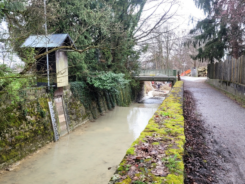 Ruggbach HOCHWASSERSCHUTZ BA Klosterweg Bauma__nahmen nach Rodung 05-03-2024 _5_.jpg