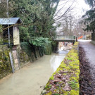 Ruggbach HOCHWASSERSCHUTZ BA Klosterweg Bauma__nahmen nach Rodung 05-03-2024 _5_.jpg