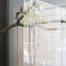 A Root_ a Limb_ a Cord_Foto Jumpei Shimada.jpg