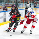 file7uhhlfanh9fw9cug6s1.jpg