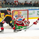 file7uhi4eskgm1ize496s1 _1_.jpg