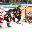 file7uhi4fbjt5exccp4630 _1_.jpg