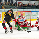 file7uhi4fdydxf5cssw3uy _1_.jpg