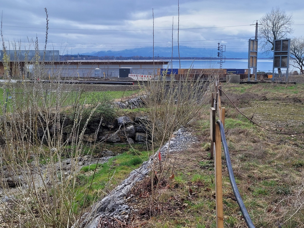 Hochwasserschutz L190 Durchl__sse C Umfeld B__che 28-02-2024 _13_.jpg