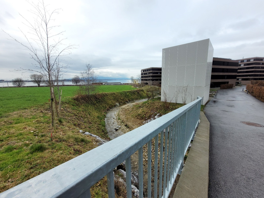 Hochwasserschutz L190 Durchl__sse C Umfeld B__che 28-02-2024 _11_.jpg