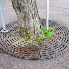 20240308_Bahnhof Umbau-4.jpg