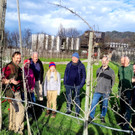 Obsthof Leiblachtal BAUMSCHNITTKURS B Praxis 02-03-2024 _1_.jpg