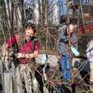 Obsthof Leiblachtal BAUMSCHNITTKURS B Praxis 02-03-2024 _2_.jpg