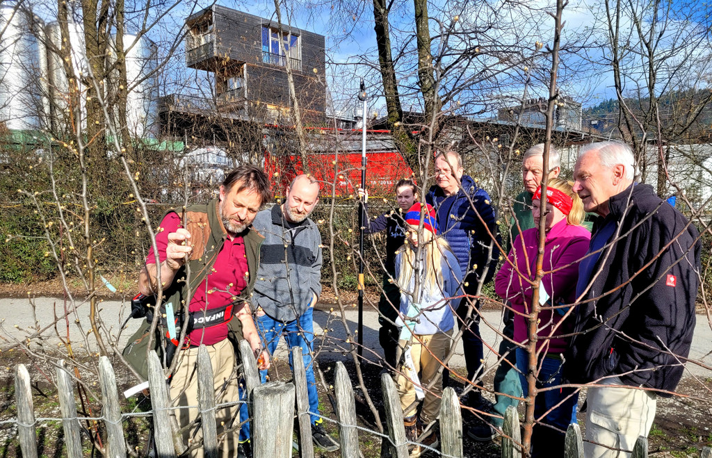 Obsthof Leiblachtal BAUMSCHNITTKURS B Praxis 02-03-2024 _4_.jpg