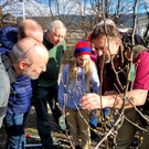 Obsthof Leiblachtal BAUMSCHNITTKURS B Praxis 02-03-2024 _5_.jpg