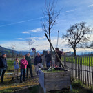 Obsthof Leiblachtal BAUMSCHNITTKURS B Praxis 02-03-2024 _11_.jpg