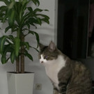 IMG_2059.jpeg