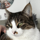 IMG_1816.jpeg