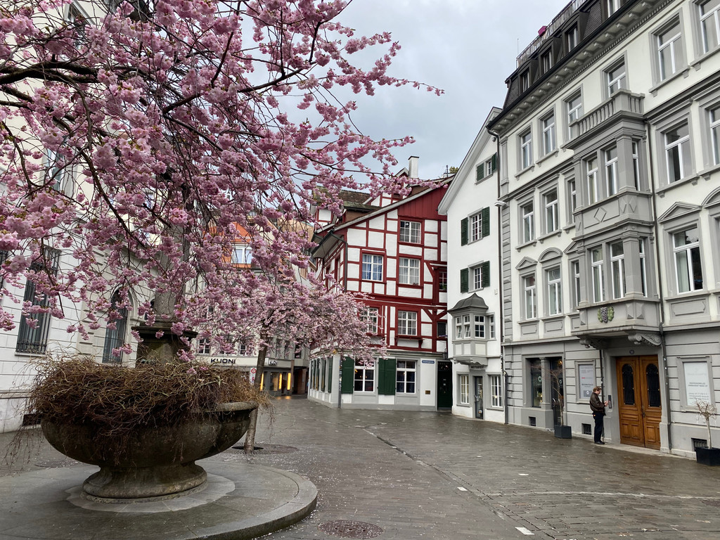 Bl__tentraum St_Gallen .jpeg