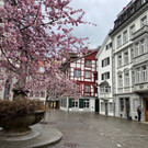 Bl__tentraum St_Gallen .jpeg