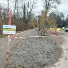 Hörbranz blüht auf
