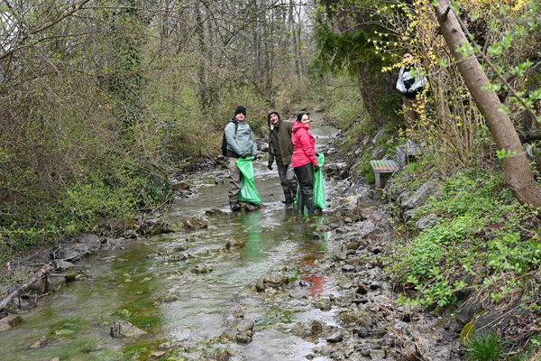 Landschaftsreinigung in 3n.jpg