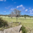 13_ Mallorca24.jpeg