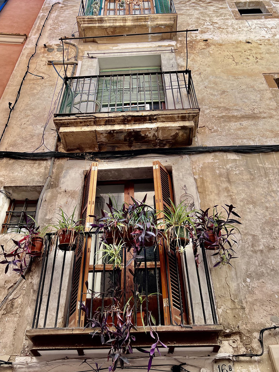 49_ Mallorca24.jpeg