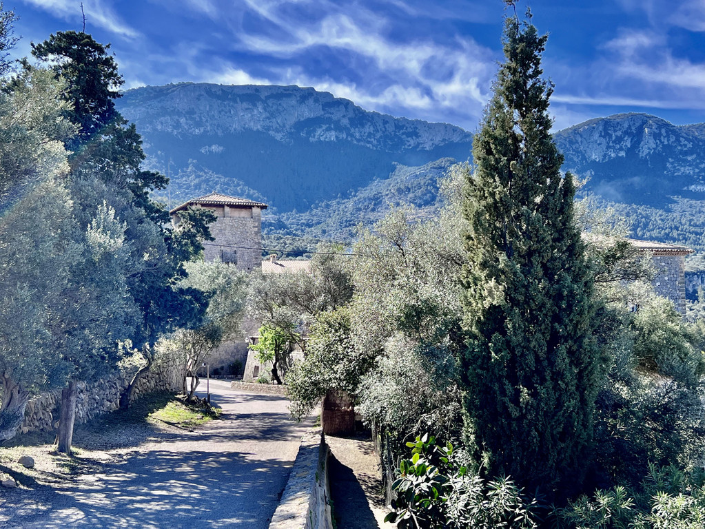 59_ Mallorca24.jpeg