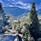 59_ Mallorca24.jpeg