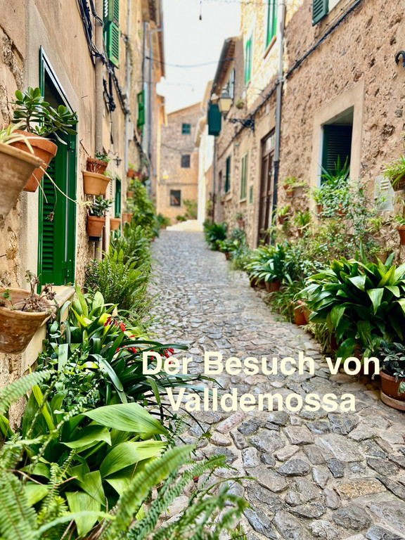 63_ Mallorca24.jpeg