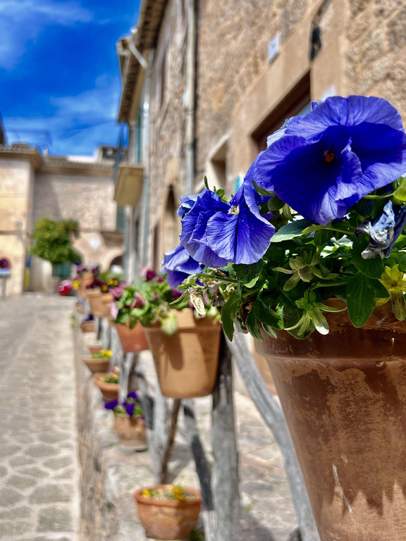 65_ Mallorca24.jpeg