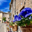 65_ Mallorca24.jpeg