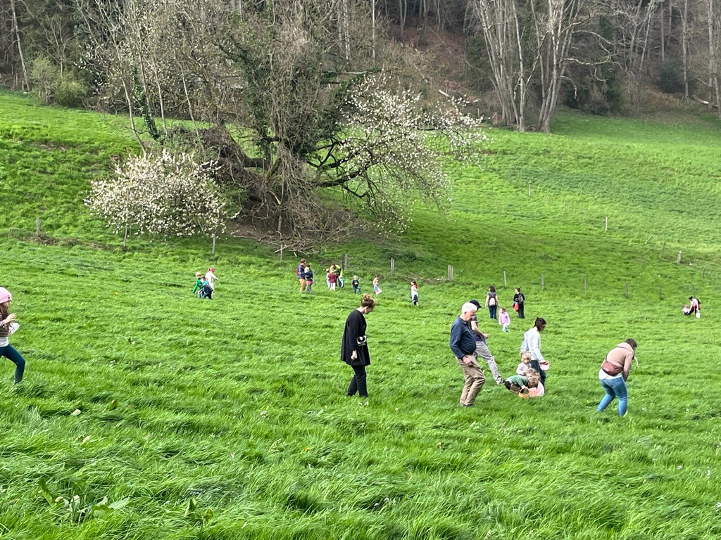 363decef-8c9b-4657-9c86-3dad6c8d1d07 _1_.jpg