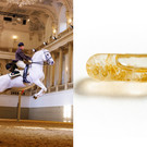 9_regal_strength_microdose_c_Vienna Tourist Board _ Hermann H__ger.jpg