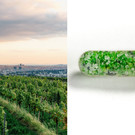 8_lifting_spirit_microdose_c_Vienna Tourist Board _ Hermann H__ger.jpg