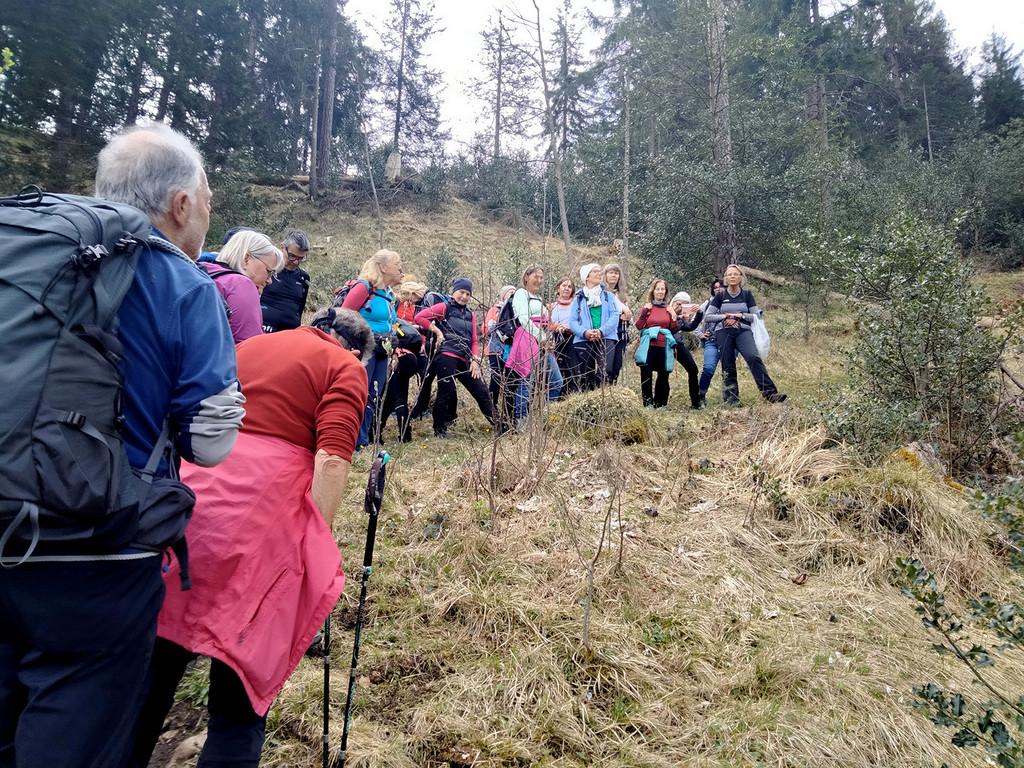 Wanderung1.jpg
