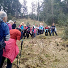 Wanderung1.jpg