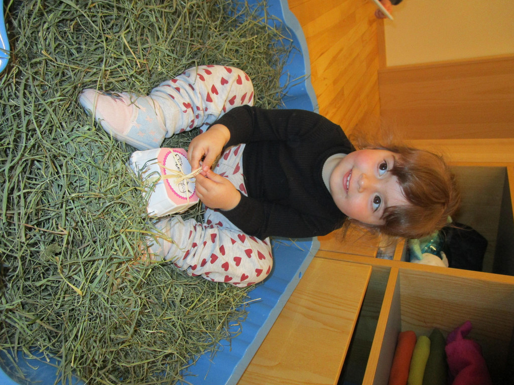 IMG_1558.JPG