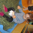 IMG_1569.JPG
